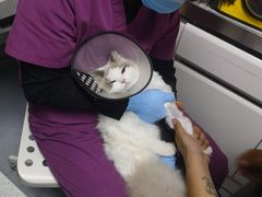 -达爱动物医院·犬猫分区·CT·复杂眼科(远洋山水分院)