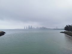 -万绿园