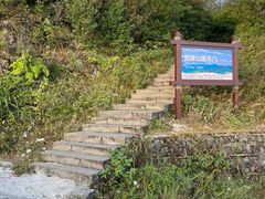 -武陵山森林公园
