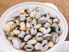 生腌血蚌-揭阳钟记小食(福田新村店)
