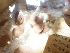 -西关84·History·Art·Cafe