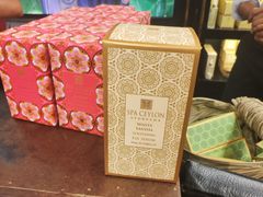 -班达拉奈克国际机场