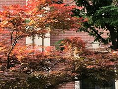 -黄浦区业余大学(四川南路校区)
