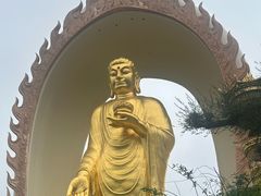 -庐山风景名胜区-东林大佛