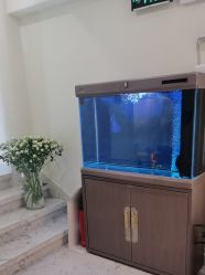 -海涛医疗美容·面部抗衰·注射美鼻