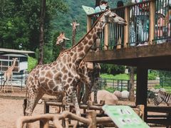 -大连森林动物园