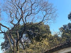 -惠山古镇·寄畅园