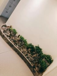 -康颜SPA自然疗愈皮肤管理中心