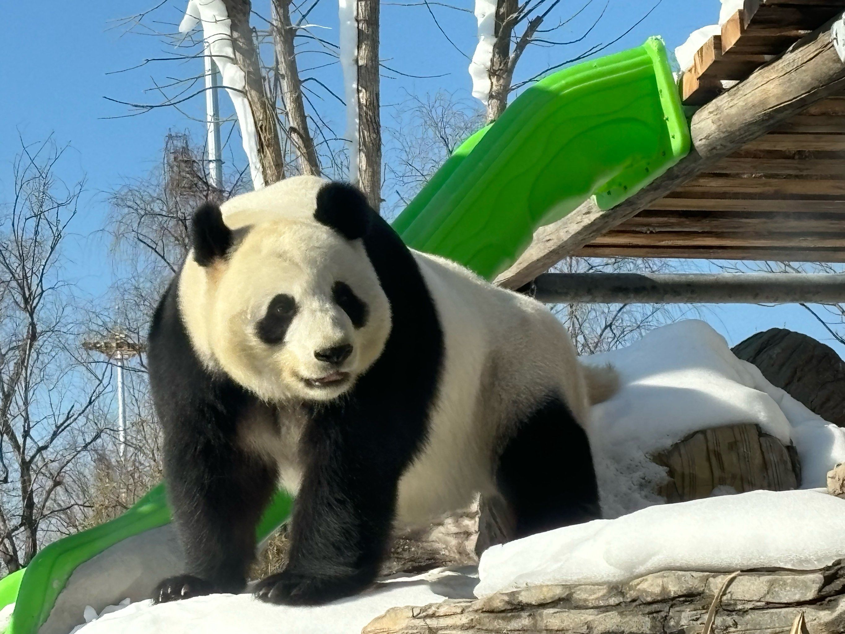 保定爱保野生动物园