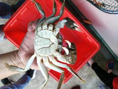 -乡乐园蟹庄·阳澄湖农家乐