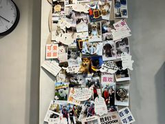 -伟伟宠物医院·CT影像中心·瑞派犬猫综合性门诊(汉口总院)