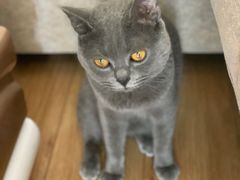 -陈记柳州螺蛳粉(大坪店)