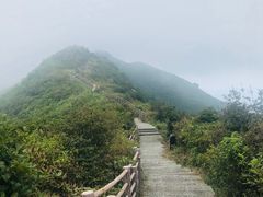 -大围山国家森林公园