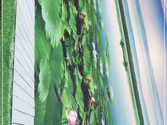 -陈厨(新苑小区店)