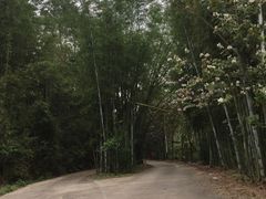 -红山村