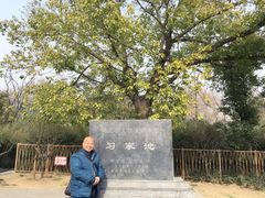 -习家池