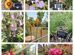 -上海植物园-4号门售票处