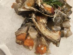 -皇朝海鲜酒店