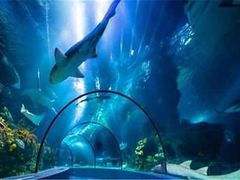 -北戴河圣蓝海洋公园