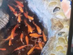 -一桶江山餐厅(松北店)