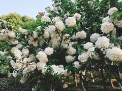 -杭州城北体育公园