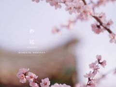 -颐和园