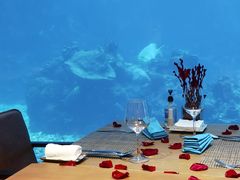 -涛·海底餐厅·美人鱼·自助餐·海底隧道(三亚海棠湾洲际度假酒店)