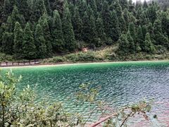 -武陵山森林公园