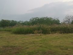 -两河城市森林公园