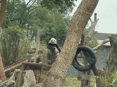 -武汉动物园
