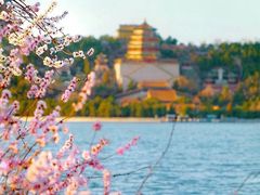 -颐和园