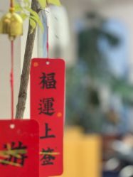 -G-SAGA形象设计