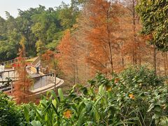 -云溪植物园