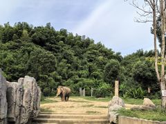 -宁波野生动物园