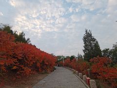 -南翠屏公园