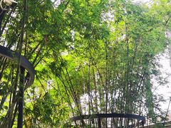 -晓友烧麦(光华村店)