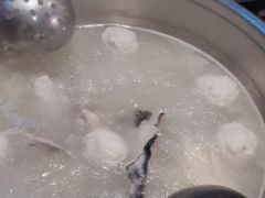 -鱼粤鲜淘米捞·中山脆肉鲩火锅(悦湖会店)