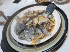 珍珠斑鱼-蔚海之都·象山蒸汽海鲜(仙霞路店)