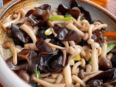 野葱炒山菌-汤河清真餐馆