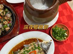 -先鲜鲫鱼粥