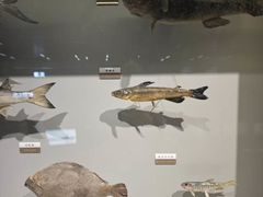 -天津古林古海岸遗迹博物馆