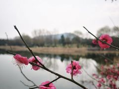 -大蜀山国家森林公园