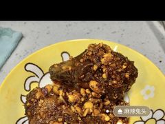 -邓氏兔头