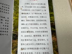 -太婆天府山珍酒楼(亚运村店)