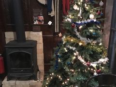 -蓝壁虎咖啡酒馆