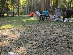 -金山植物公园