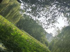 -莲湖公园