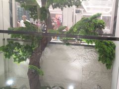 -小八仙·宴(三峡茶庄店)