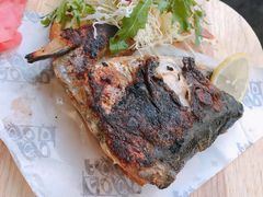 -玛格萝妮比萨屋(四平店)