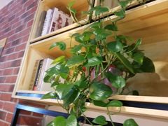 -惠友大虾(太原北街店)